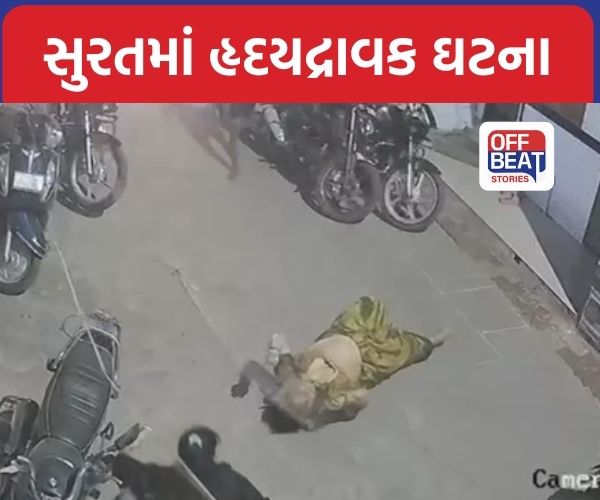 સુરતમાં રુદ્ર પેલેસમાં માતા-પુત્રી છત પરથી નીચે પટકાયા