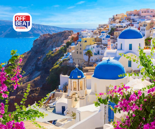 આ દેશમાં માણસો કરતા ઓલિવના ઝાડ વધુ છે