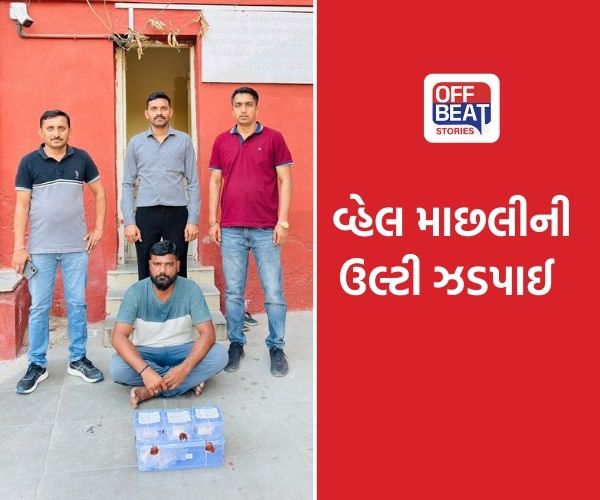 જામનગરમાં 2 કરોડથી વધુની વ્હેલ માછલીની ઉલ્ટી ઝડપાઈ