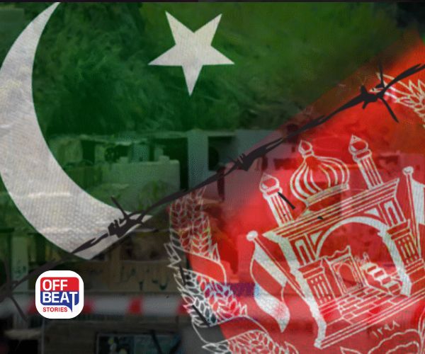 "સમયસર, યોગ્ય અને ગણતરીપૂર્વક જવાબ..."