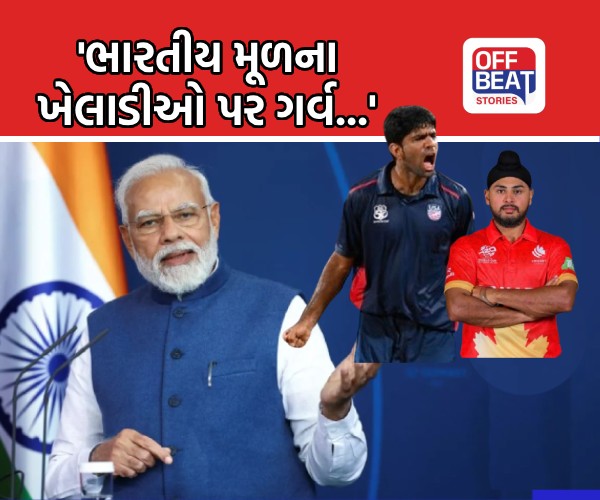 "આ ભારતીય પ્રતિભાની વૈશ્વિક ઓળખનું પ્રમાણ..."