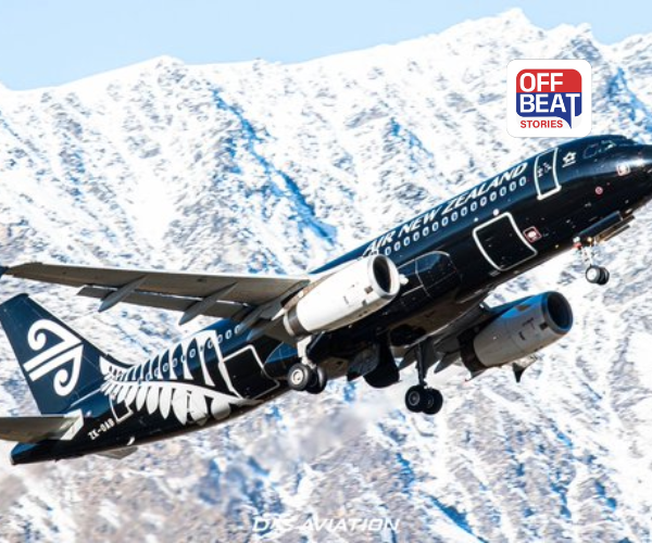 શું તમે ક્યારેય આકાશમાં કાળું વિમાન જોયું છે?