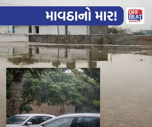 ભરૂચમાં કમોસમી વરસાદનો કહેર!