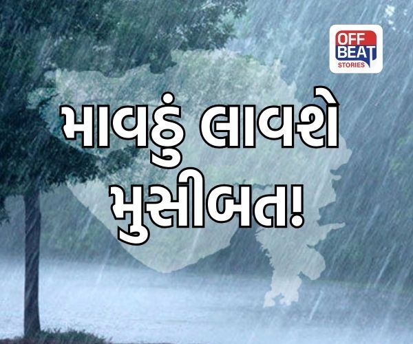 કમોસમી વરસાદનો ગુજરાતમાં ખતરો ટળ્યો નથી!