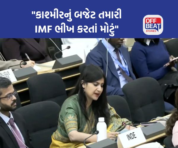 'કાશ્મીરનું બજેટ તમારી IMF ભીખ કરતાં વધારે...'