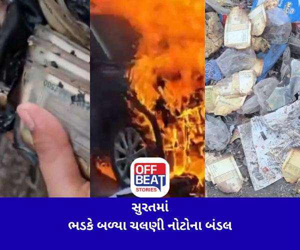 સુરતમાં બે અલગ બનાવોમાં ચલણી નોટોના બંડલો સ્વાહા