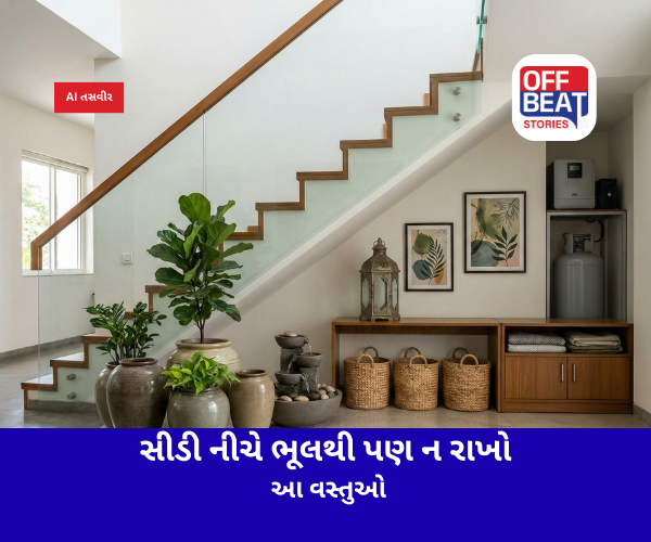 સીડી નીચે ભૂલથી પણ ન રાખો આ વસ્તુઓ