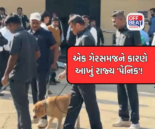 રાજ્યની સરકારી કચેરીઓને બોમ્બની ધમકીનો ભેદ ઉકેલાયો