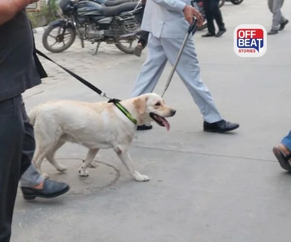 બોર્ડની પરીક્ષા વચ્ચે સરકારી કચેરીઓને ઉડાવી દેવાની ધમકી