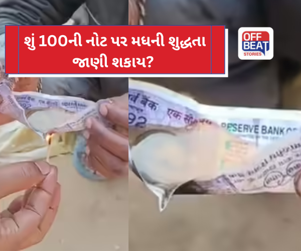 નોટ સળગી નહીં પણ  સત્ય બહાર આવ્યું