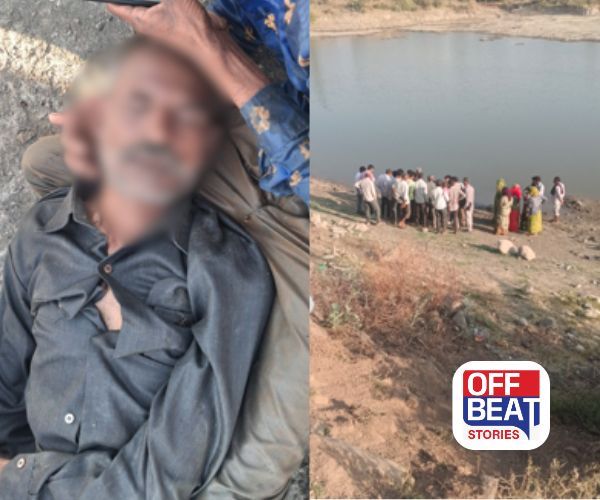 ચોટીલામાં મધમાખીના કહેરથી આધેડનું કરુણ મોત