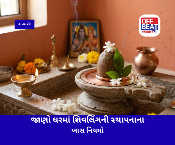 વાસ્તુશાસ્ત્ર મુજબ ઘરમાં શિવલિંગની સ્થાપનાના ખાસ નિયમો