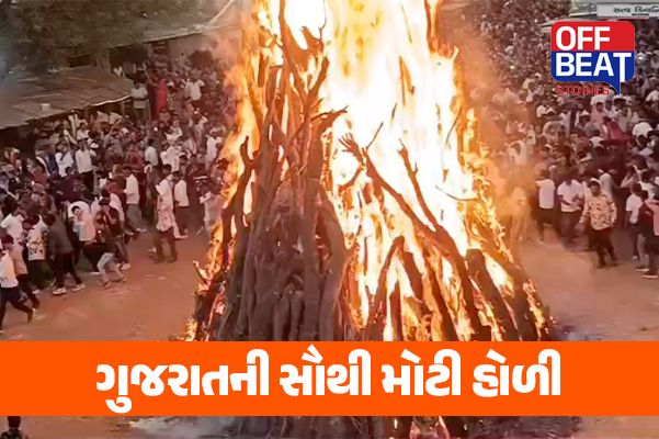 પાલજમાં રાજ્યની સૌથી મોટી હોલિકા પ્રગટાવાઈ