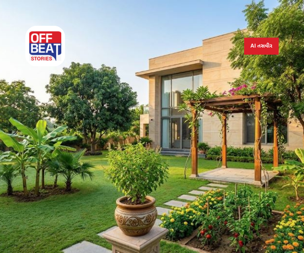 ઘરમાં છોડ લગાવતી વખતે ભૂલથી પણ ના કરતા આ ભૂલો