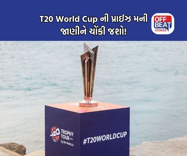 T20 World Cup; ચેમ્પિયન ટીમ પર થશે કરોડો રૂપિયાનો વરસાદ!