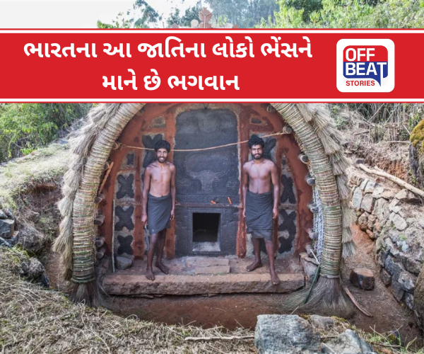 ભારતની અનોખી જનજાતિ