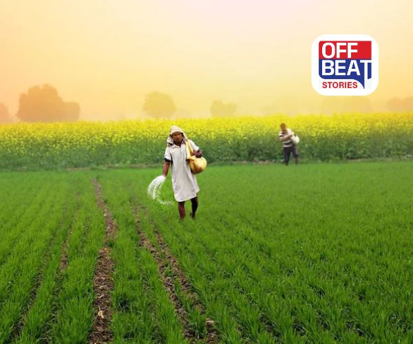 યુદ્ધની લપેટમાં ભારતીય ખેતી