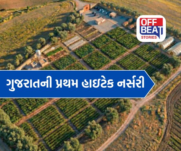 ડીસાના ડાવસ ખાતે બનશે ગુજરાતની પ્રથમ હાઇટેક નર્સરી