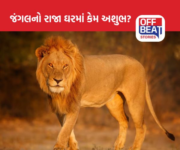 Lion Photo Vastu