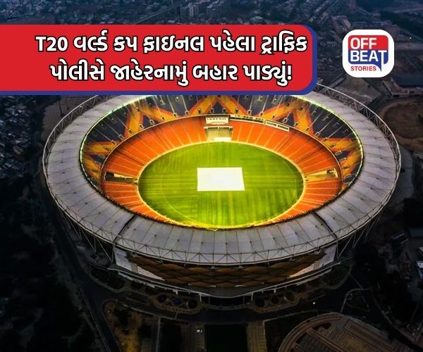 વર્લ્ડ કપ ફાઇનલની મેચ જોવા જતાં પહેલા જાણી લો, નહિતર ચૂકી જશો મેચ!