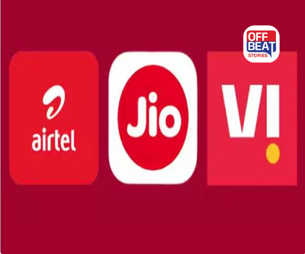 ક્રિકેટ પ્રેમીઓની મોજ