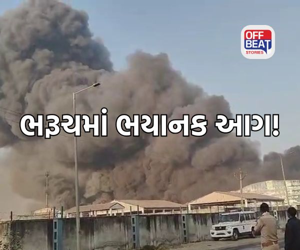 ભરૂચ: અંકલેશ્વરની GIDC માં લાગી ભયાનક આગ