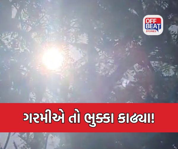 કચ્છમાં ઉનાળાનો કહેર