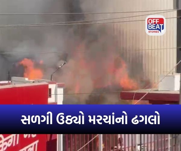 જામનગરમાં મસાલા કંપનીના ગ્રાઉન્ડમાં વિકરાળ આગ