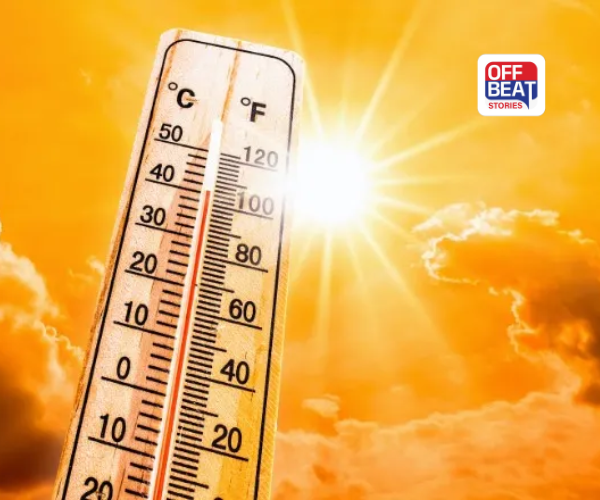 ગુજરાતમાં હવામાન વિભાગે હિટવેવની કરી આગાહી
