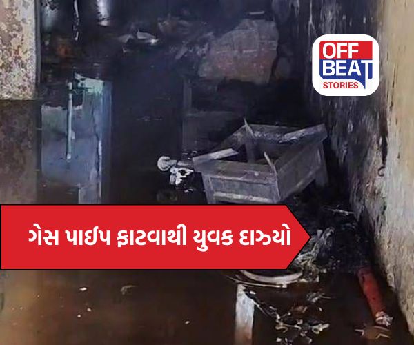 અકોટા હાઉસિંગ બોર્ડમાં ગેસ સિલિન્ડરની પાઈપ ફાટતાં ભયાનક આગ