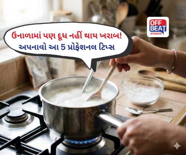 શું ઉનાળાની ગરમીમાં દૂધ વારંવાર ફાટી જાય છે?