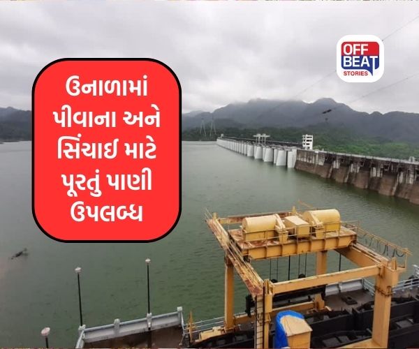 ઉનાળામાં ના કરતાં પાણીની ચિંતા!