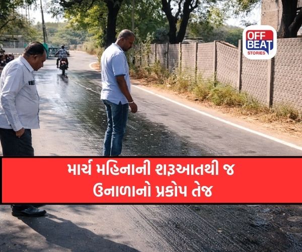 કેવી રીતે નીકળશે ઉનાળો?