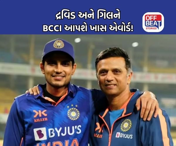 રાહુલ દ્રવિડને 'લાઈફટાઈમ અચિવમેન્ટ' એવોર્ડથી સન્માનિત કરશે BCCI!