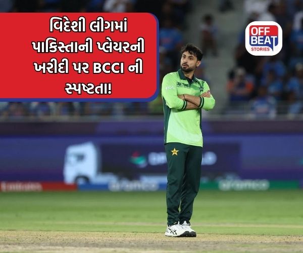 સનરાઇઝર્સ લીડ્સે પાકિસ્તાની ખેલાડીને કેમ ખરીદ્યો?