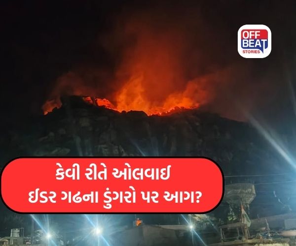 ઐતિહાસિક ઈડર ગઢના ડુંગરો પર ભીષણ આગની ઘટના