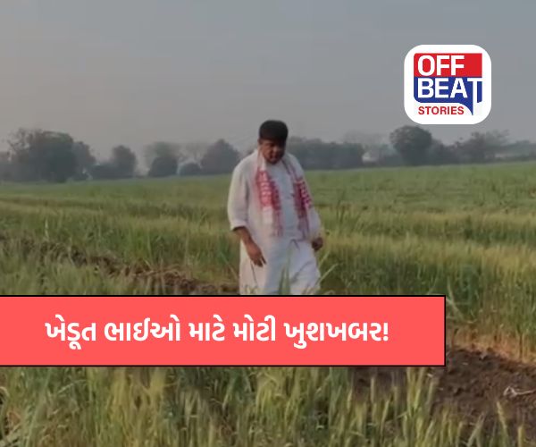 ખેડૂતો માટે ખુશખબર