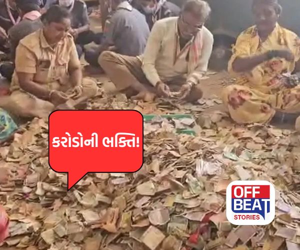 અઢળક પૈસા વરસ્યા!