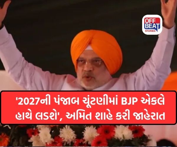 ‘2027ની પંજાબ ચૂંટણીમાં BJP એકલે હાથે લડશે, હવે અમે નાના ભાઈ નથી…’