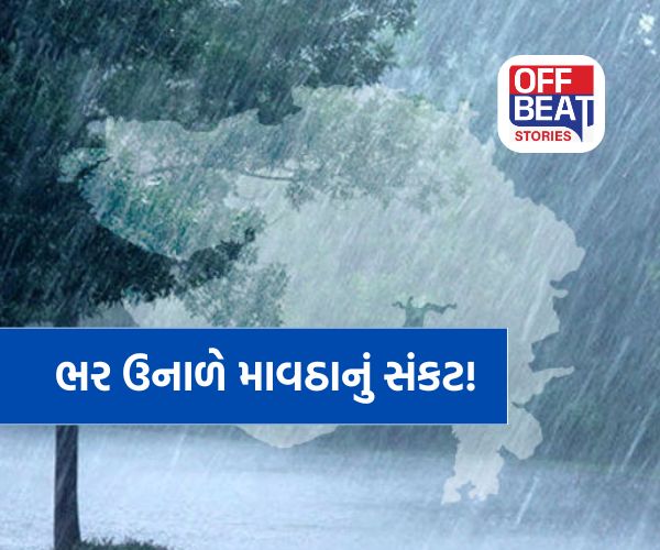 અંગ દઝાડતી ગરમી વચ્ચે માવઠાની આફત!