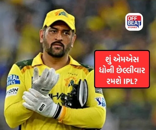 શું ખરેખર MS Dhoni રમી શકે છે છેલ્લી IPL?