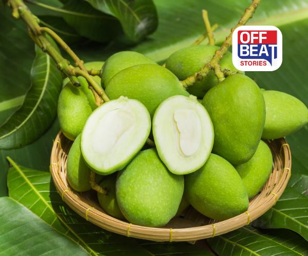 ગરમીના દિવસોમાં કાચી કેરી છે અમૃત સમાન!