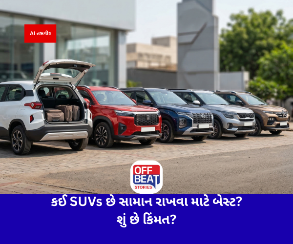 બજેટમાં પણ મળશે જબરદસ્ત સ્પેસ