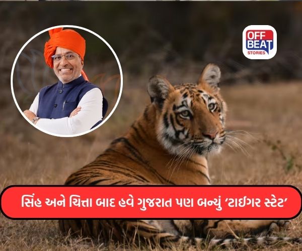 પર્યાવરણ ક્ષેત્રે ગુજરાતની હરણફાળ: