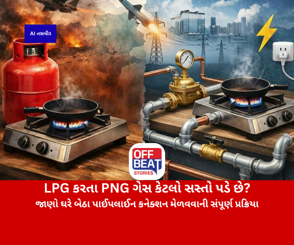 LPG કરતા PNG ગેસ કેટલો સસ્તો પડે છે?
