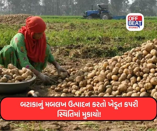 'ખેડૂતોને સહાય આપો', મંદીના માર વચ્ચે સહાયની માગ