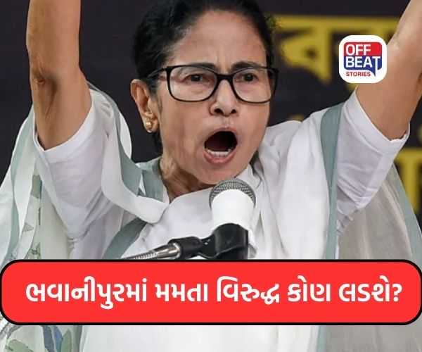 ભવાનીપુરથી ચૂંટણી લડશે મમતા બેનર્જી...