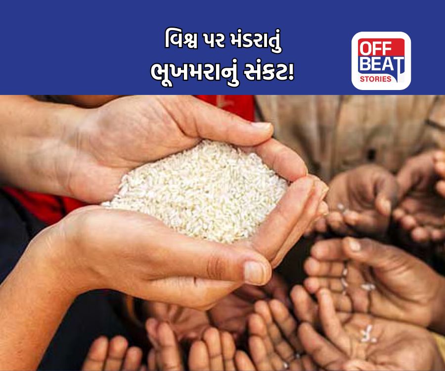 યુદ્ધોને કારણે વિશ્વમાં 4.5 કરોડ લોકો પર ભૂખમરાનું સંકટ!
