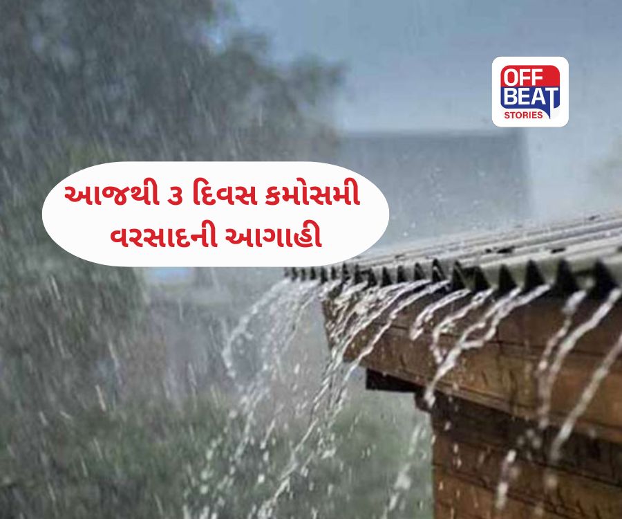 ગુજરાતમાં માવઠાની આફત