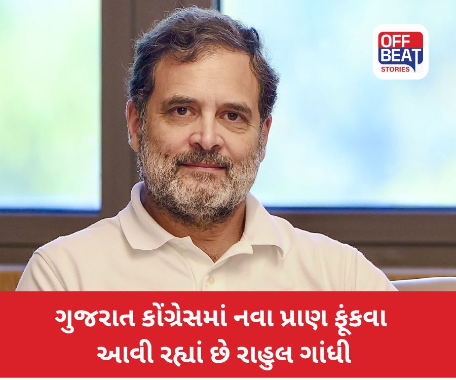 Local Body Election; સ્થાનિક સ્વરાજ્યની ચૂંટણીઓનો ધમધમાટ શરૂ